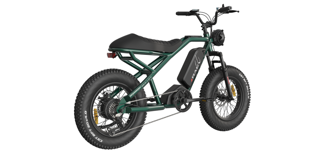 RAEV Bullet SE Electric e-Moto Style eBike-Moto 500 w Electric Pit Bike