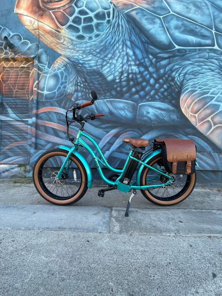 Custom Fat Tire Electric Cruiser (Step-Thru) eBike