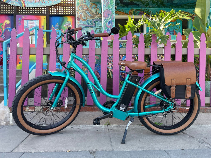 Custom Fat Tire Electric Cruiser (Step-Thru) eBike