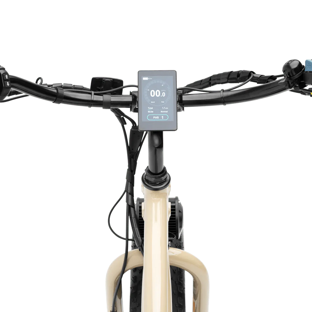 MURF Alpha Cargo Fat Tire Electric Cargo Beach Cruiser eBike-52v 750 w Electric Cargo eBike