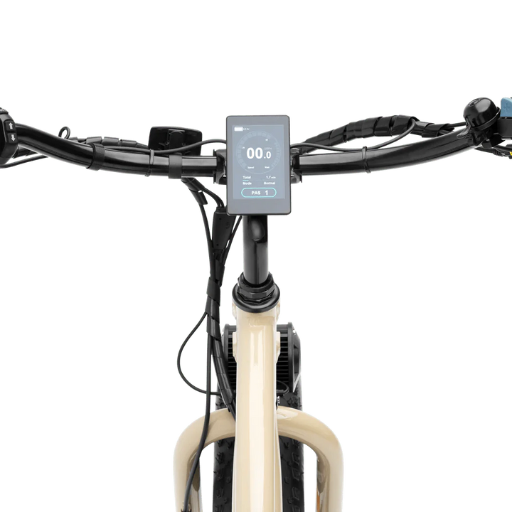 MURF Alpha Cargo Fat Tire Electric Cargo Beach Cruiser eBike-52v 750 w Electric Cargo eBike