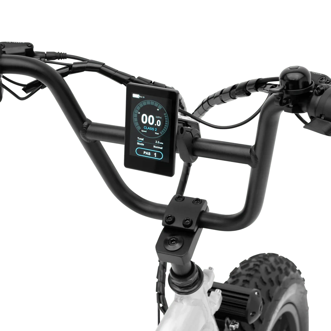 MURF Electric Urban eBike  Higgs-52v 750 w Fat Tire Electric Beach Cruiser eBike