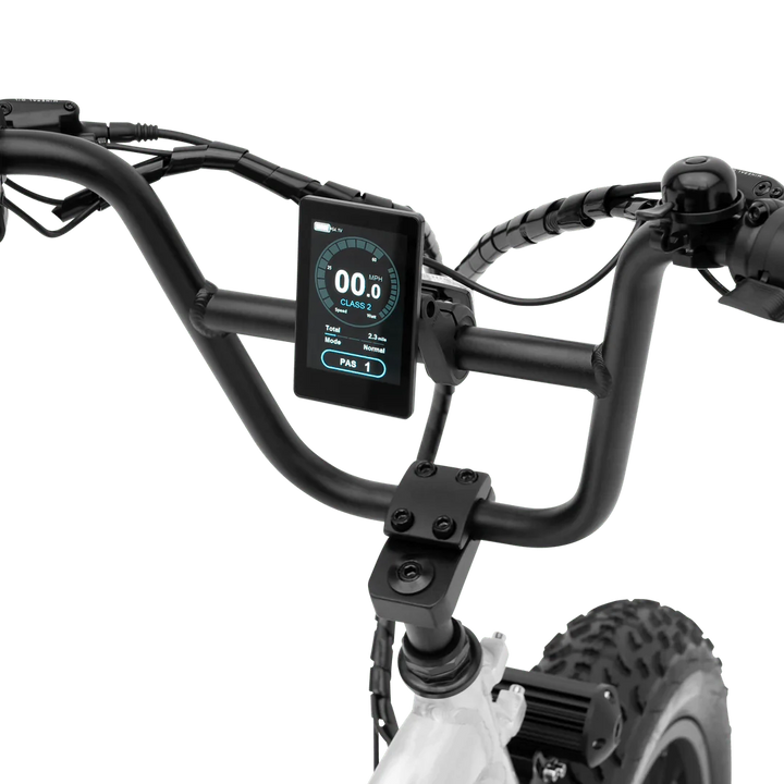 MURF Electric Urban eBike  Higgs-52v 750 w Fat Tire Electric Beach Cruiser eBike