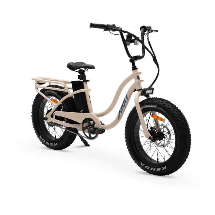 MURF Electric Urban eBike  Higgs Step-Thru-52v 750 w Fat Tire Electric Beach Cruiser eBike