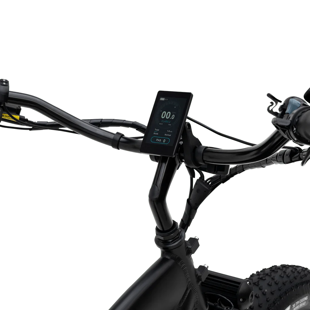 MURF Fat Murf  Electric Urban eBike -52v 750 w Electric Beach Cruiser eBike