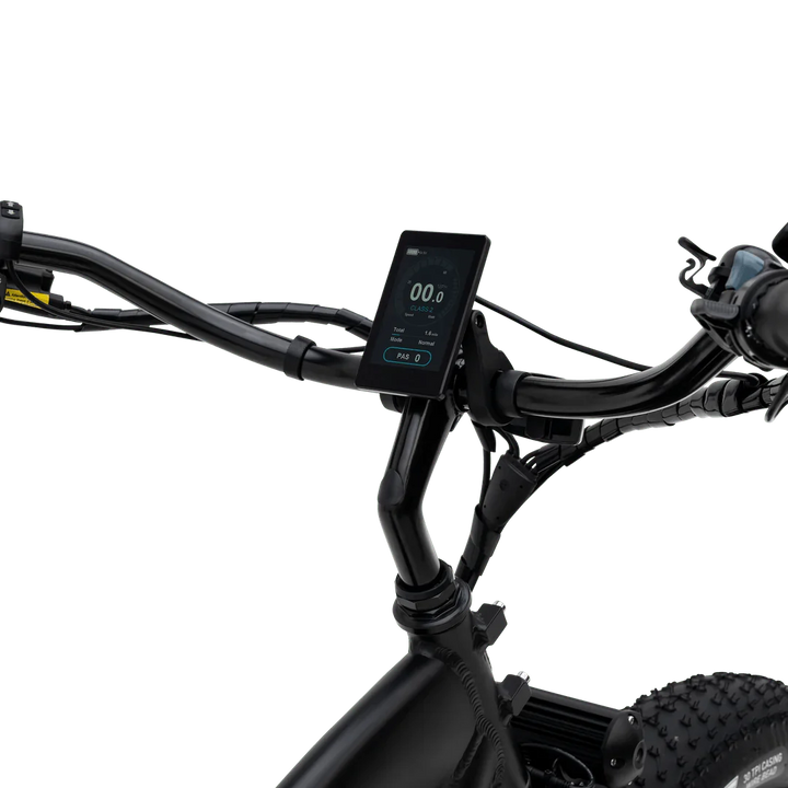 MURF Fat Murf  Electric Urban eBike -52v 750 w Electric Beach Cruiser eBike
