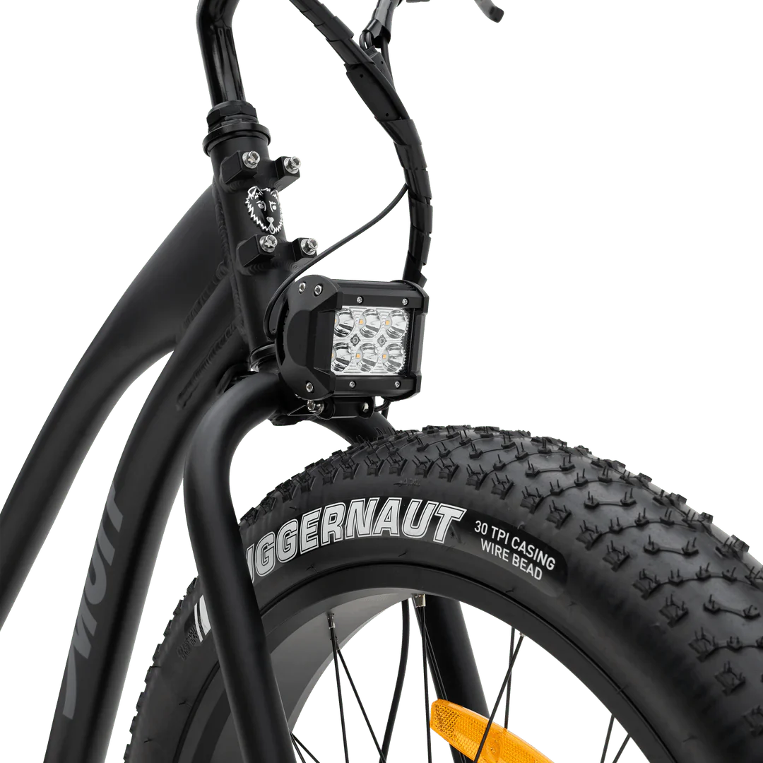 MURF Fat Tire Electric Beach Cruiser eBike Alpha ST-52v 750 w Electric Beach Cruiser eBike